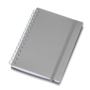 Agenda Diária 2024