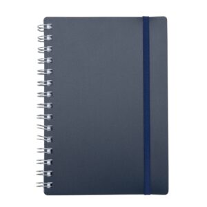 Agenda Diária 2024