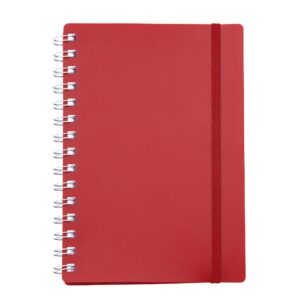 Agenda Diária 2024