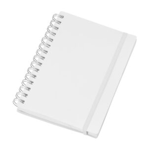 Agenda Diária 2024