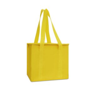 Bolsa Térmica 12 Litros