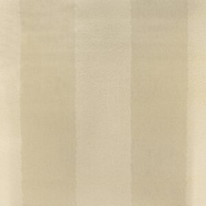 Papel de Parede