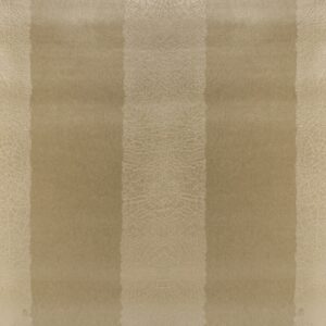 Papel de Parede